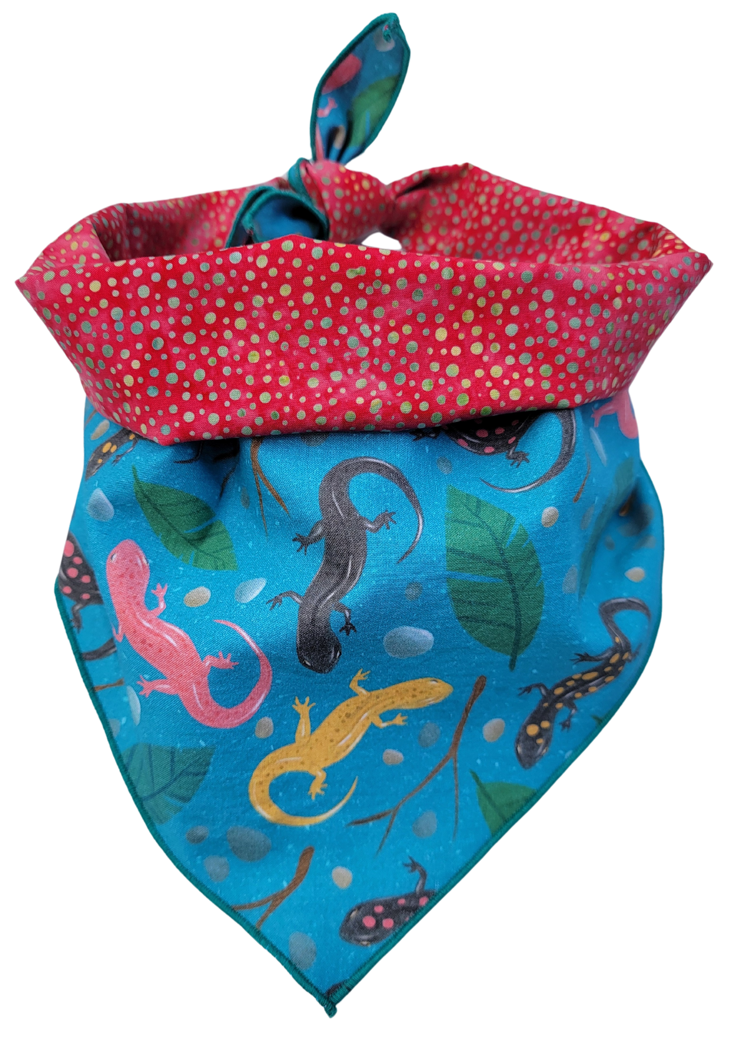 Backyard Newts Reversible Bandana