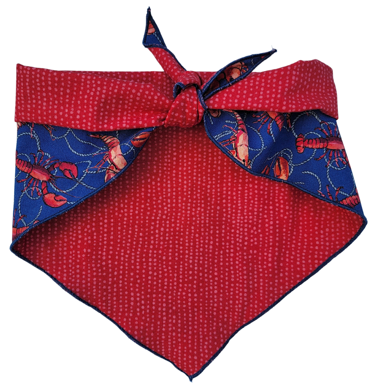 Coastal Claws Reversible Bandana